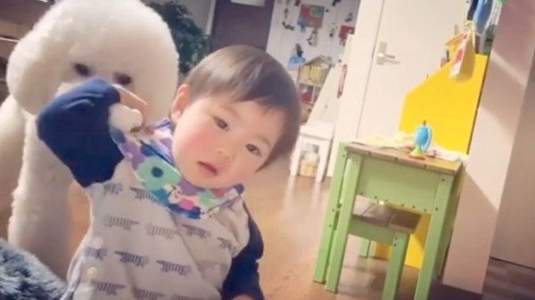 りっくんにおもちゃを奪われるむぎくん