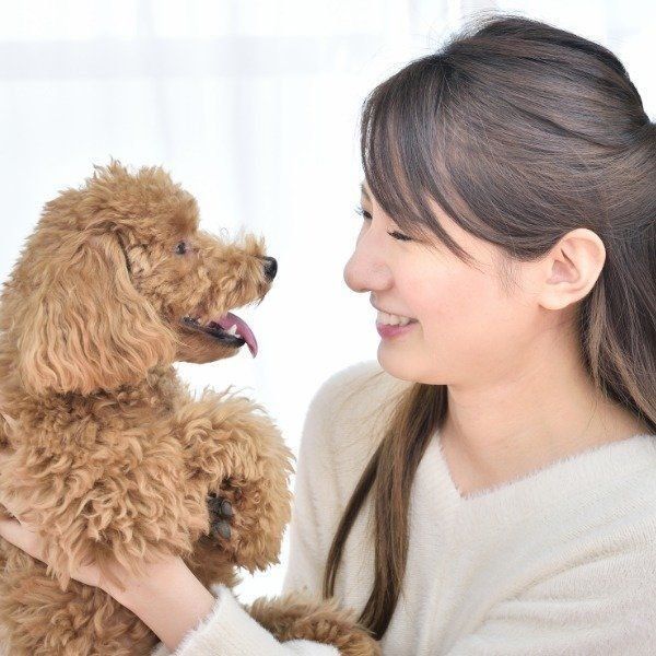 撮影／佐藤正之