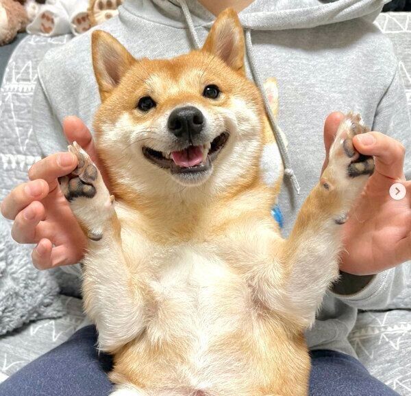 笑顔のうにくん