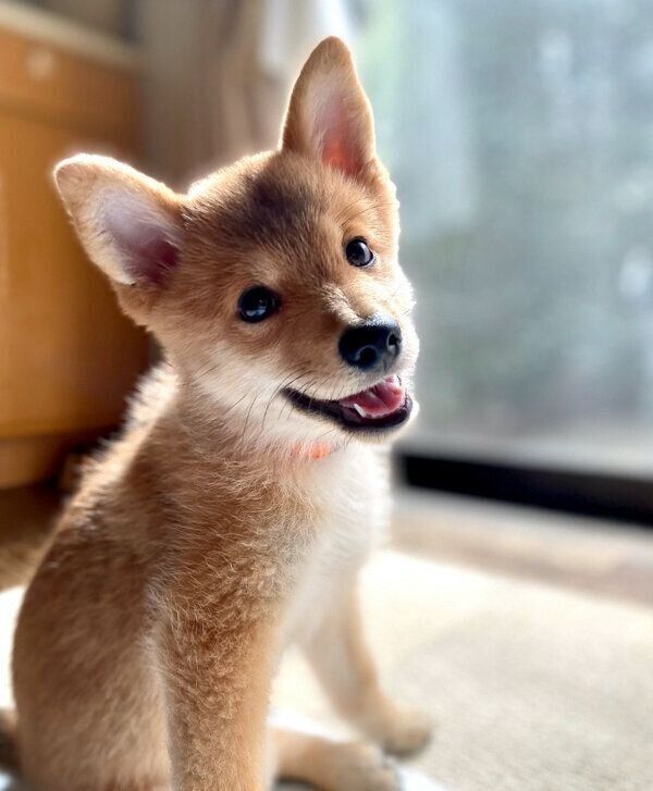 笑顔が可愛いトンボくん