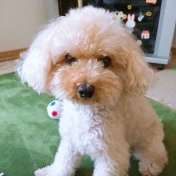 夏バテしないように気をつけて！