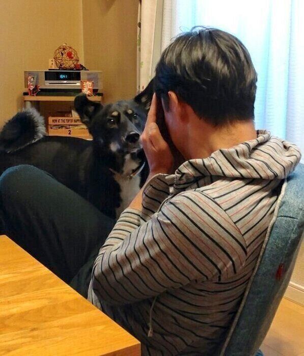 飼い主さんを見つめるルアちゃん