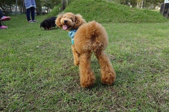 おパンツカット