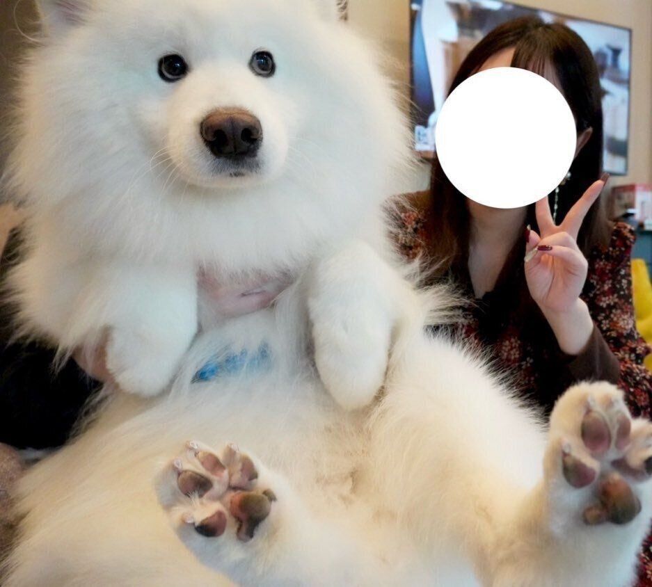 2才10カ月のころのダッツくん