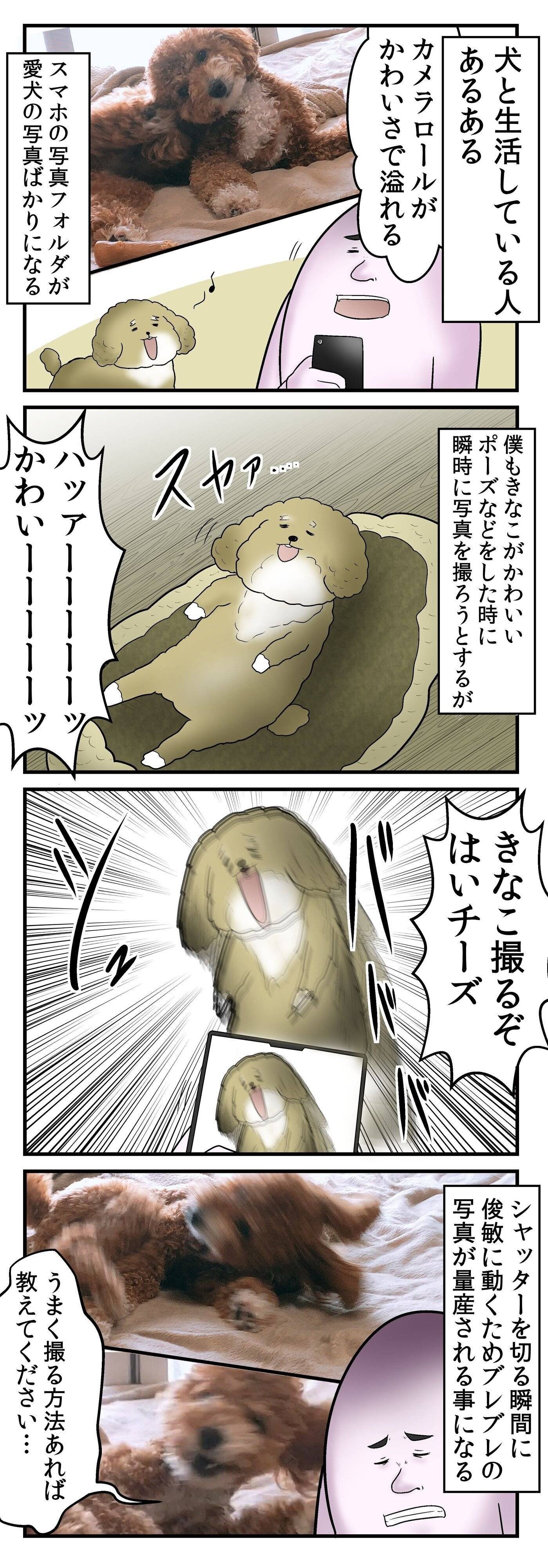 漫画「やしろあずきときなこの日常」
