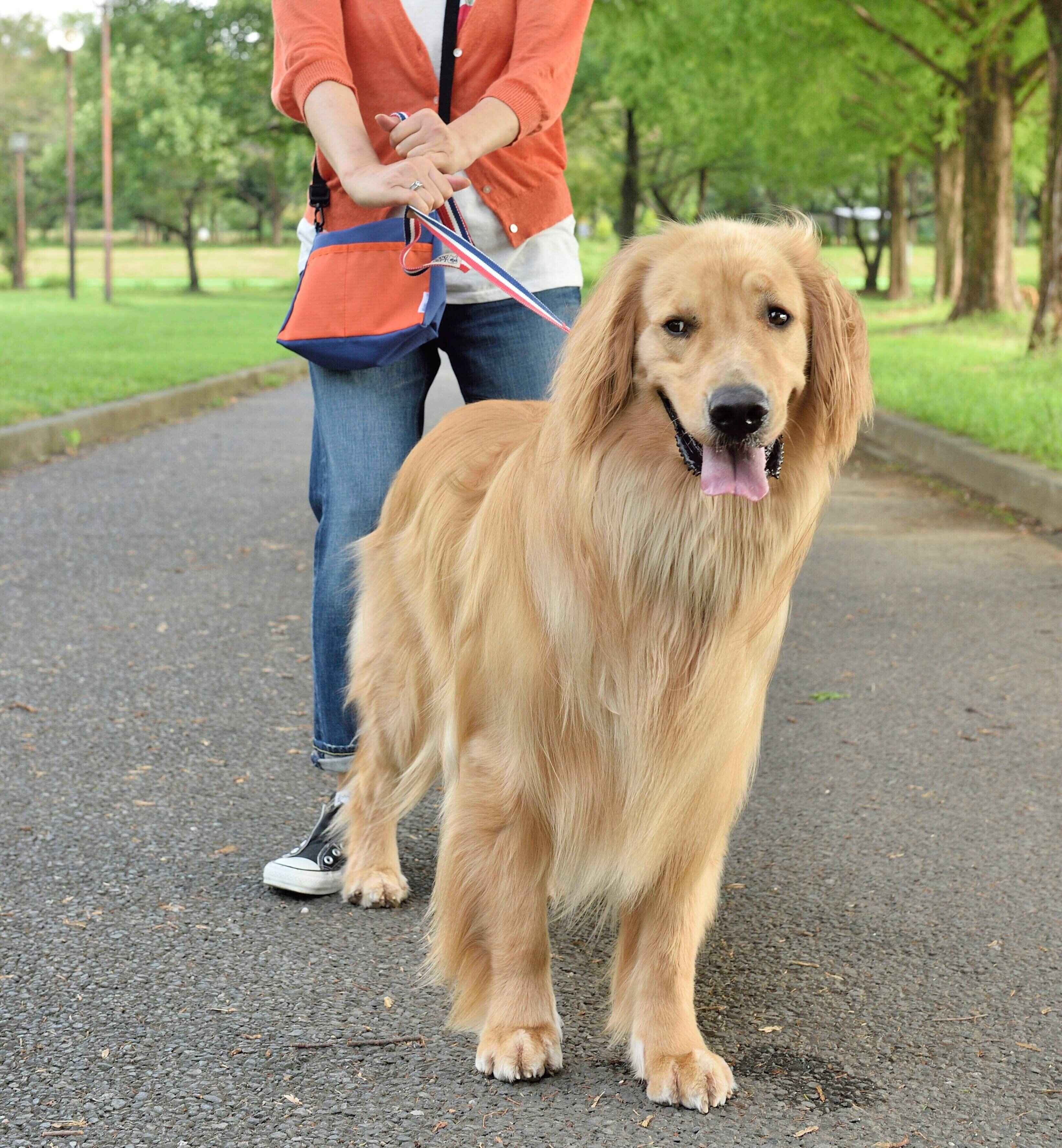 引っ張ったら「ヘソ止まり」ポーズでストップ
