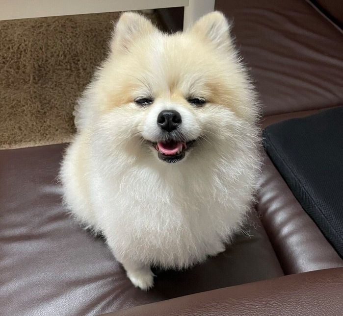 可愛らしい表情を見せるちくわくん