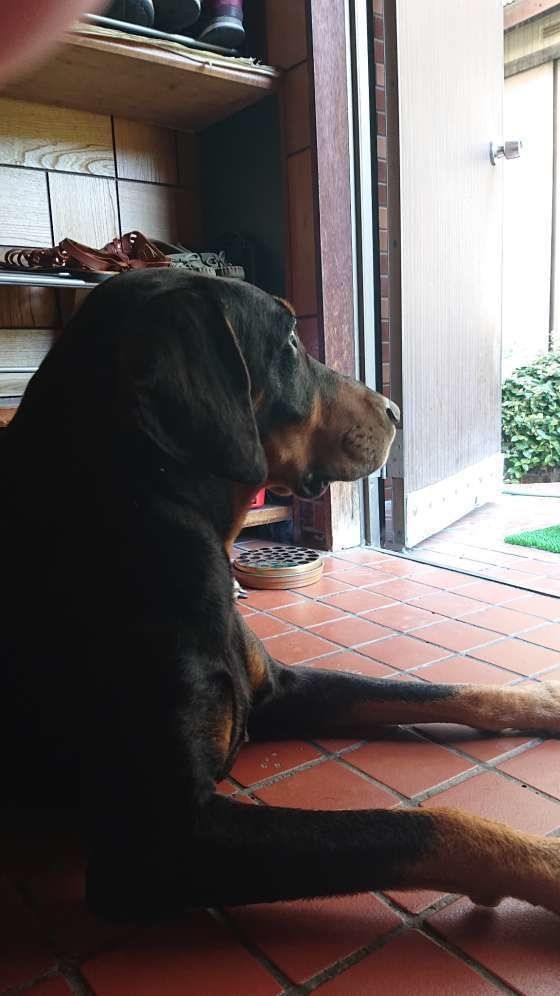 たそがれ中のRくん