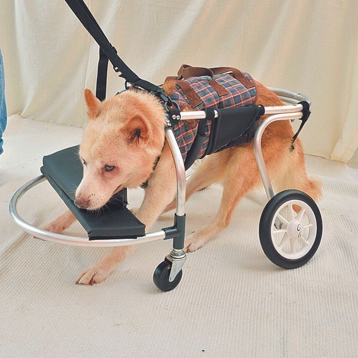 撮影／佐藤正之