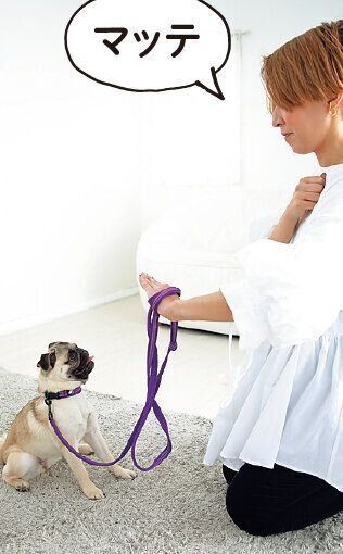 撮影／尾﨑たまき