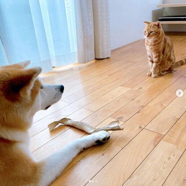 くりくんとおしゃべりをするみつきちゃん