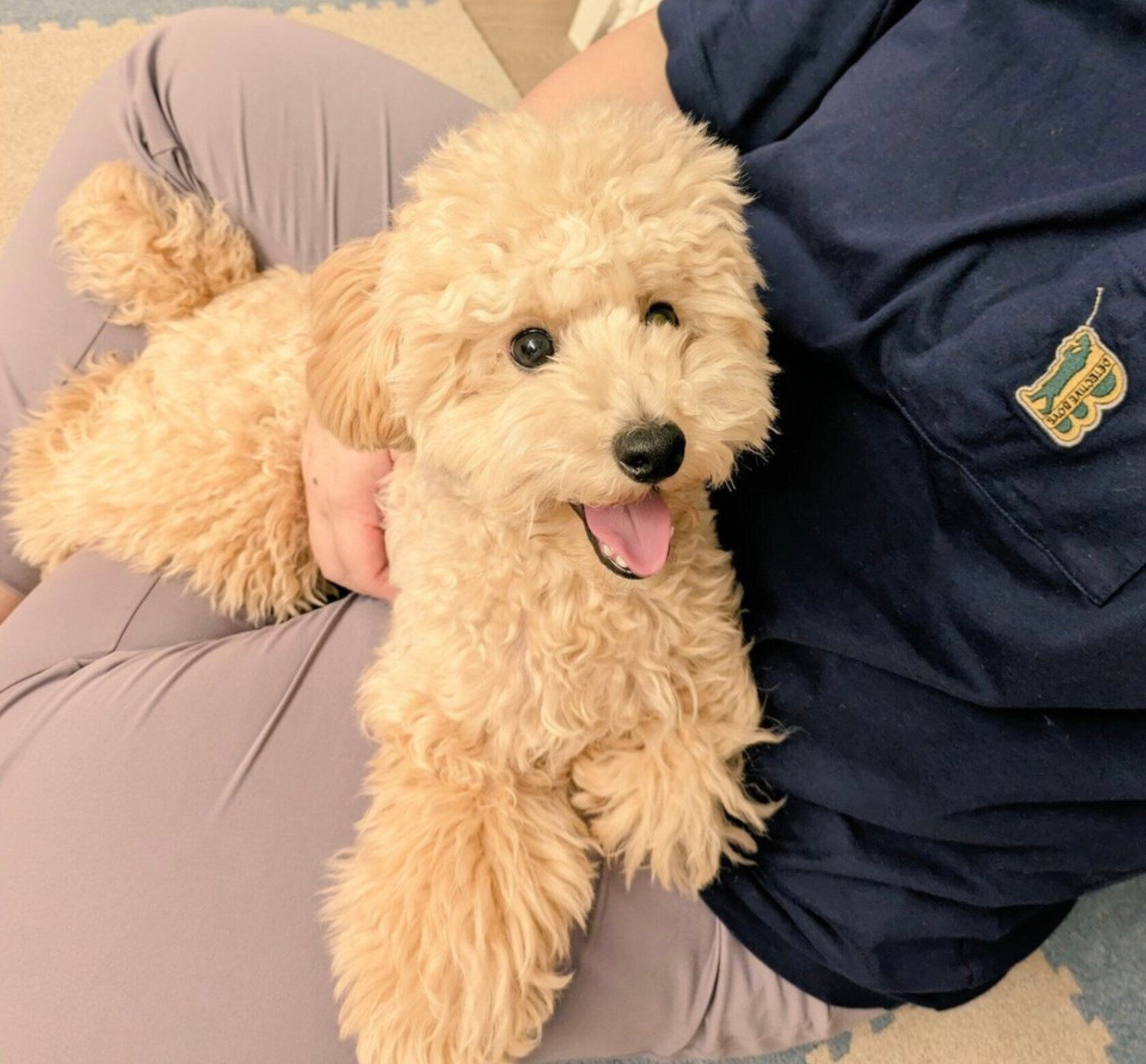 笑顔のニコラくん