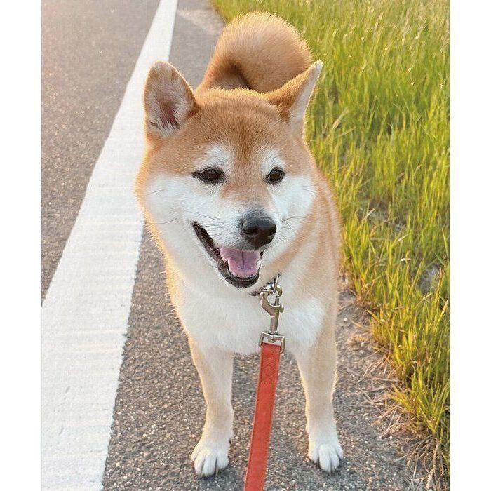 ニコニコするつむちゃん