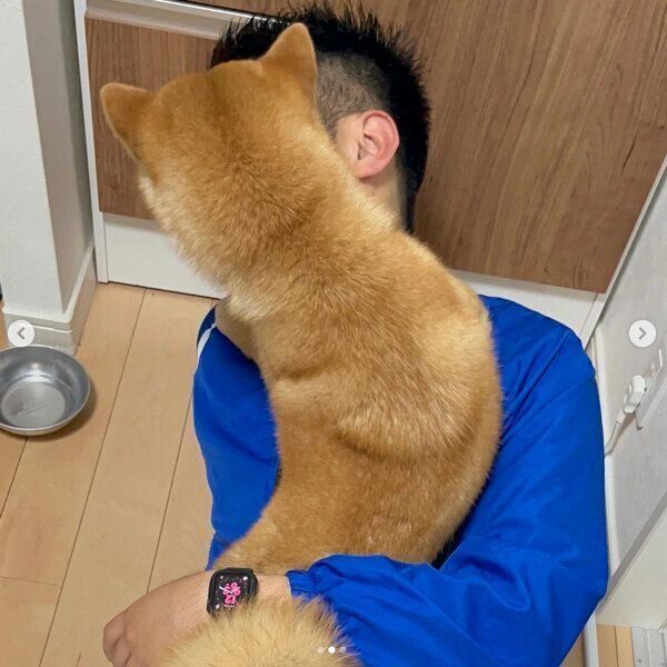 パパさんへの愛が止まらないはじめくん