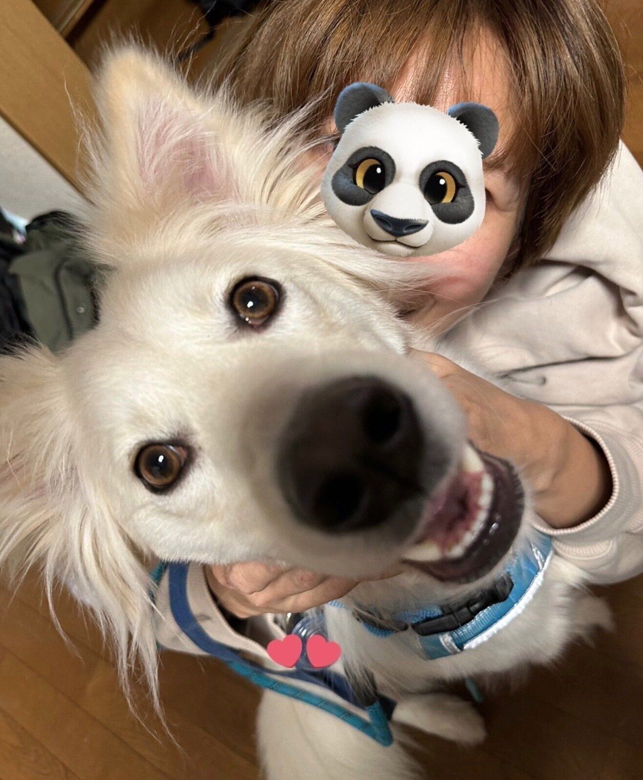 笑顔が可愛い白雪ちゃん