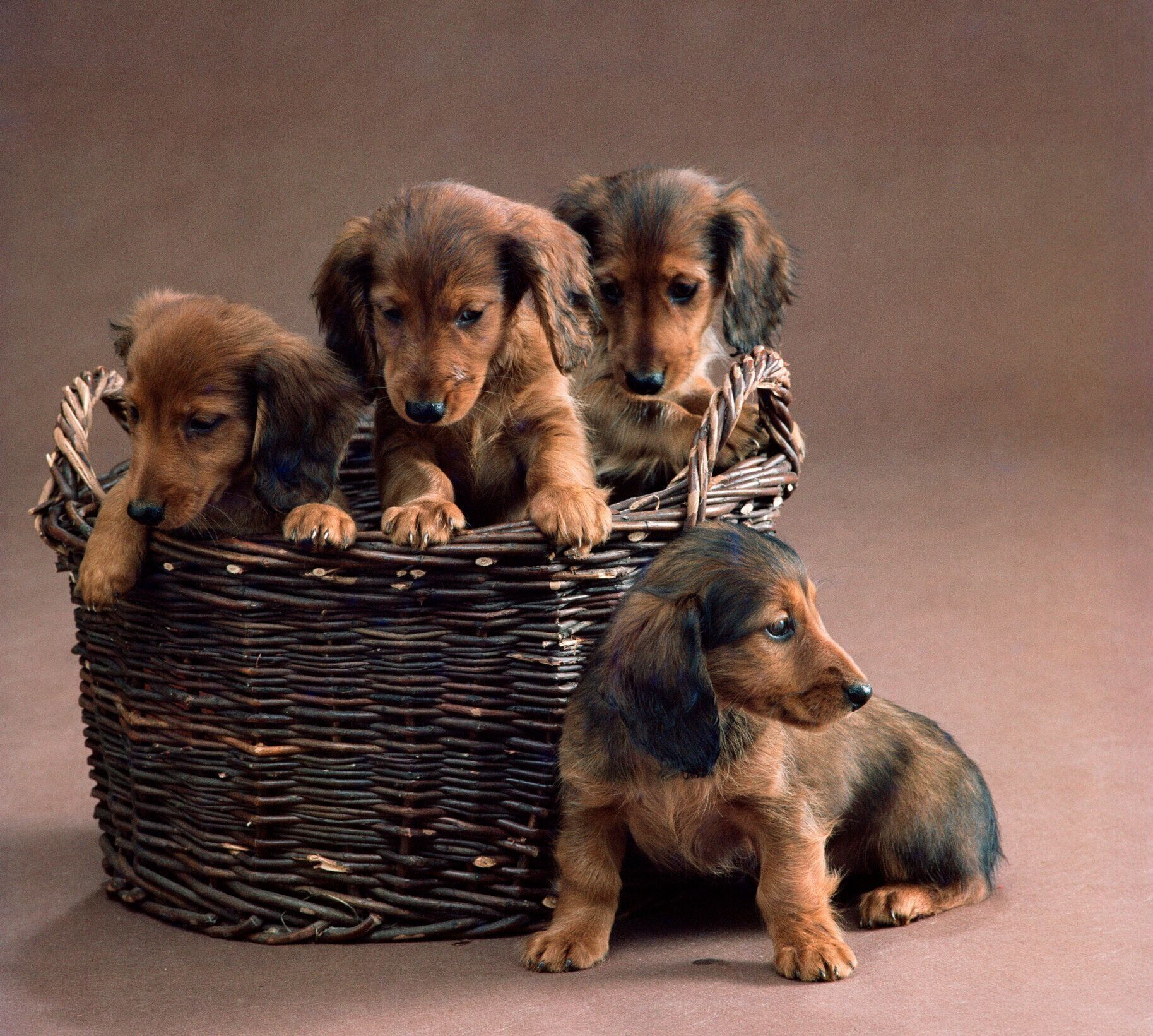 Jupiterimages ??/gettyimages