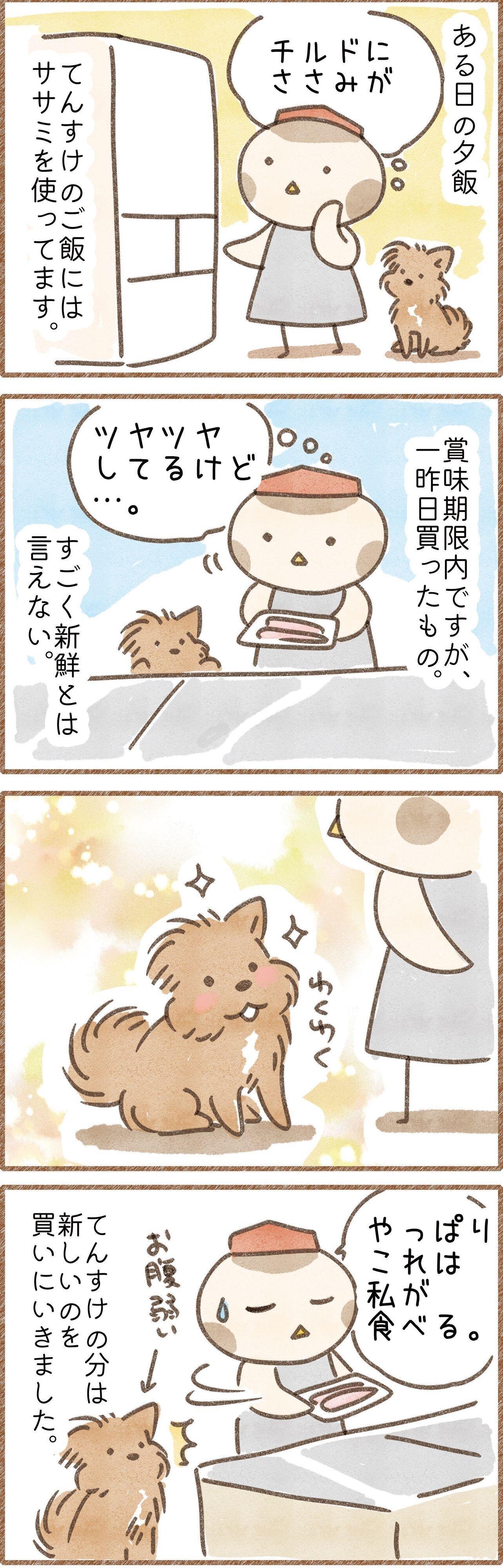 お腹弱い犬には新鮮な肉をあげたい飼い主の漫画