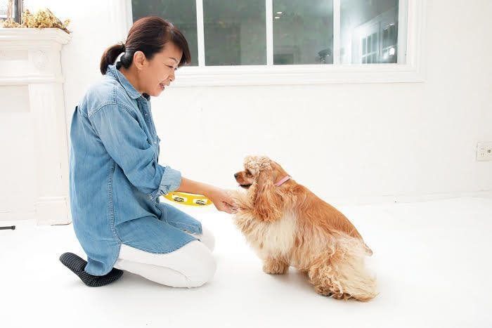 飼い主さんにオテ