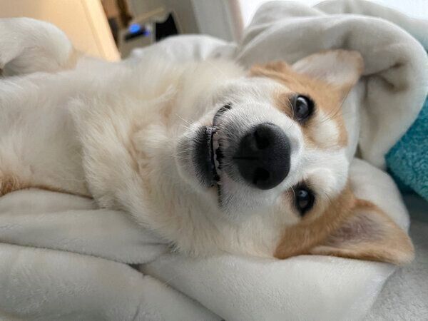 まったりするつむぎちゃん