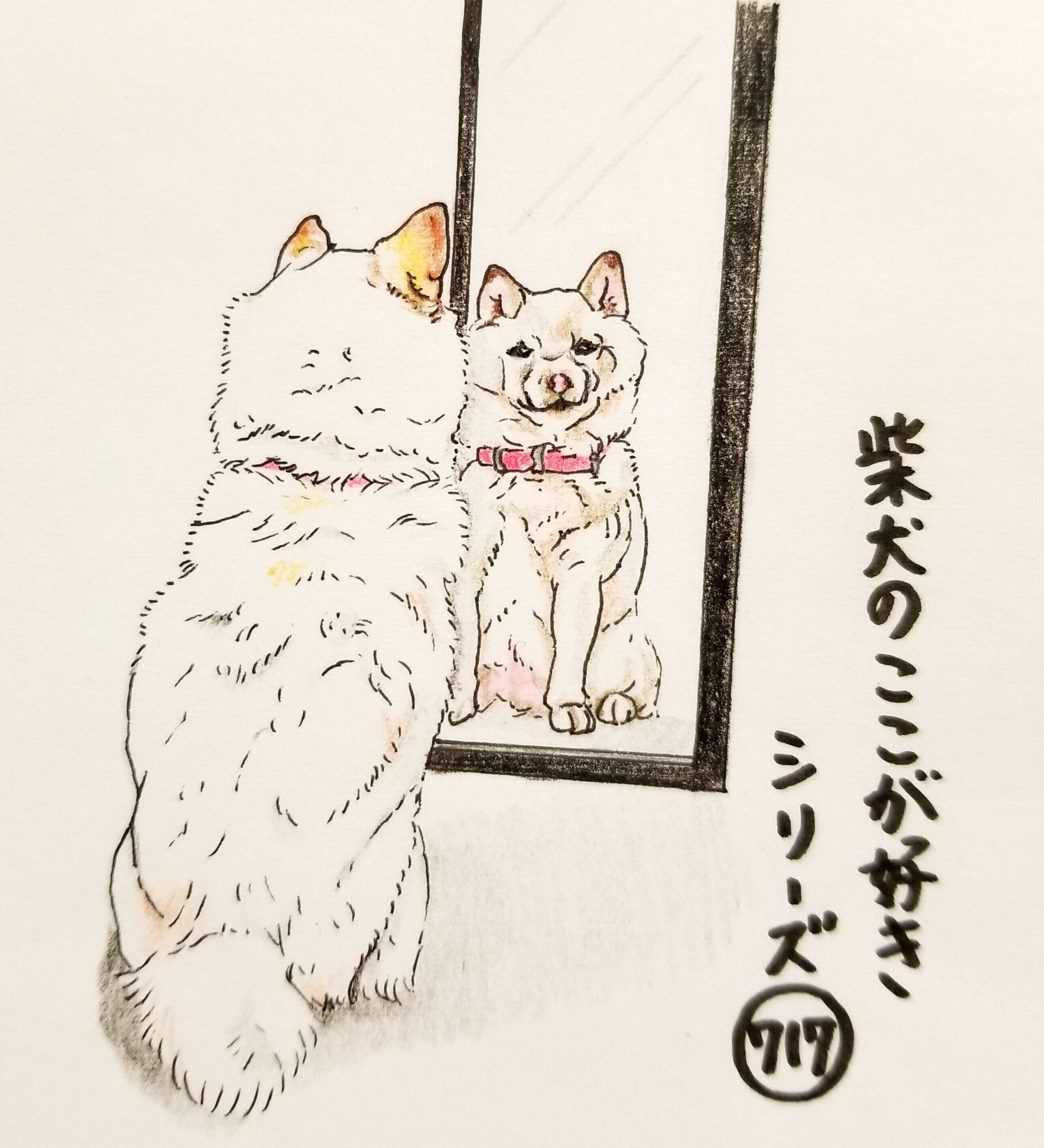 あ ご主人 見ましたね 柴犬あるある 鏡の使い方をわかっていること 連載 ここ掘れここ柴 Vol 117 いぬのきもちweb Magazine あ ご主人 見ましたね 柴犬あるある 鏡の使い方をわかっていること 連載 ここ掘れここ柴 Vol 117 いぬのきもちweb Magazine
