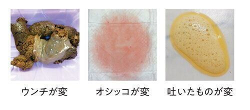 犬から出たものの撮影例