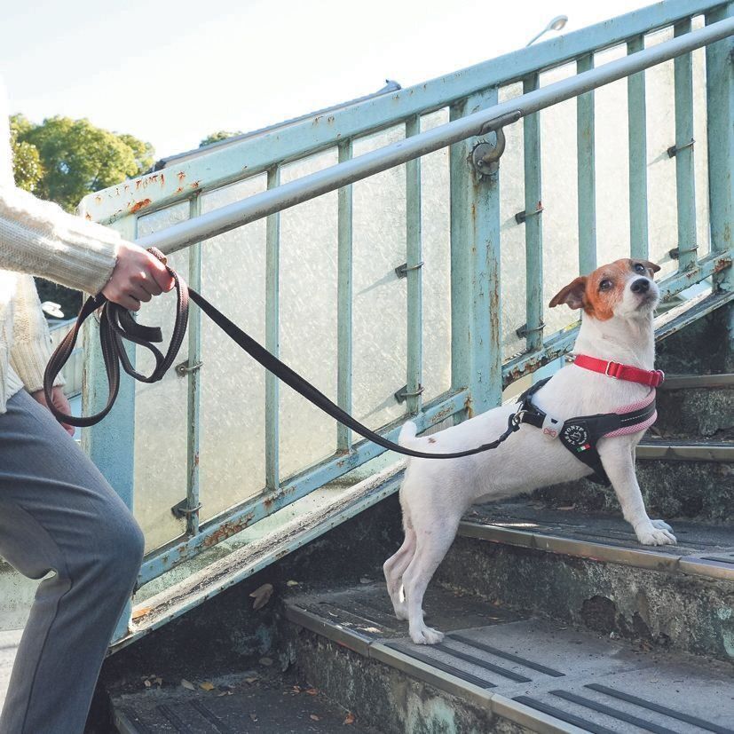 日中だけでなく、時間帯を変えて確認を！