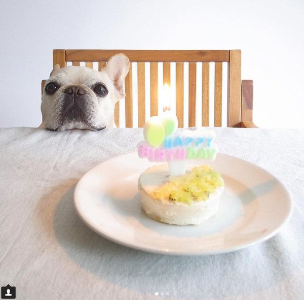 記念日をお祝いしてもらう豆福ちゃん