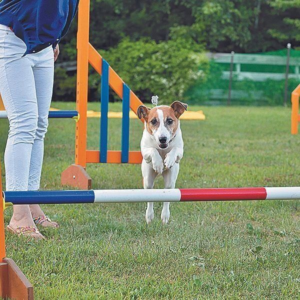 撮影/尾﨑たまき