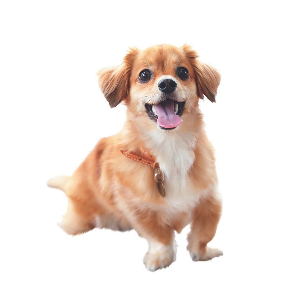 撮影／尾﨑たまき