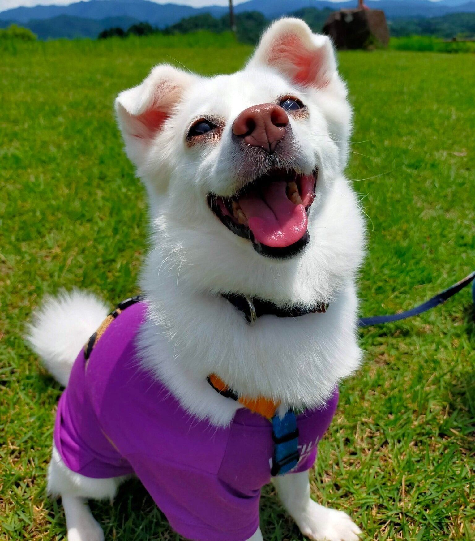 お外で笑顔を見せるシャンピィちゃん