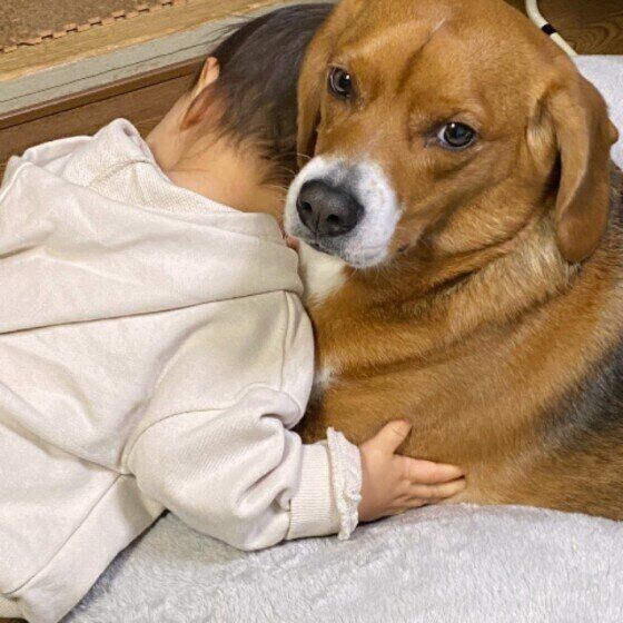 大好きなボクとハグするGくん