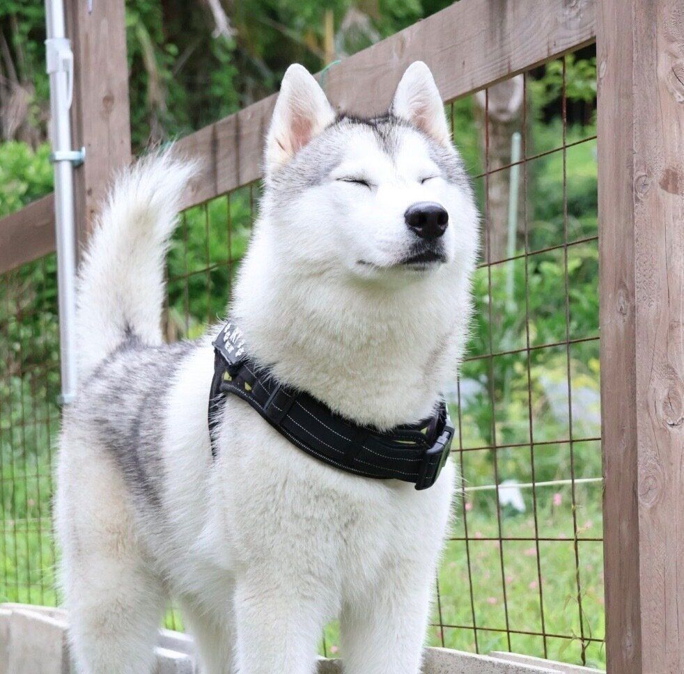 「くしゃみをする2秒前」のスカイくん