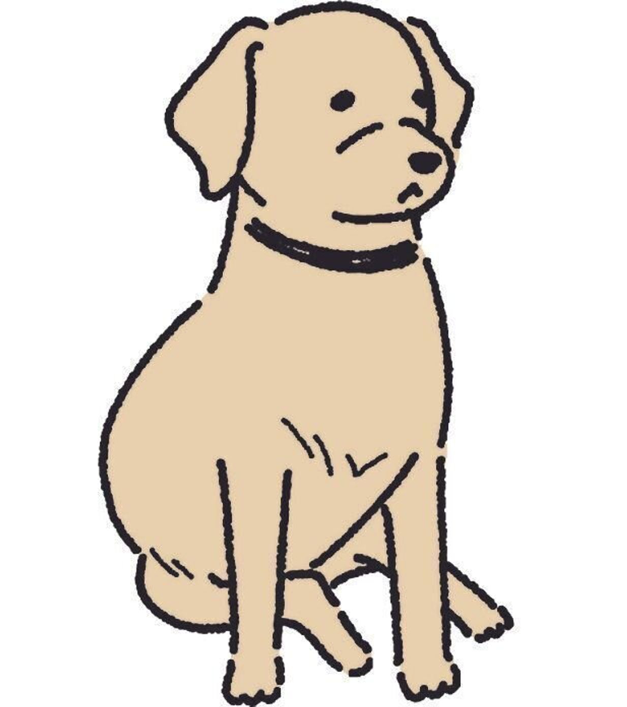 犬のかわいいポーズ もしかしたら病気のサインかも 要注意な 姿勢 をチェックしよう いぬのきもちweb Magazine 犬のかわいいポーズ もしかしたら病気のサインかも 要注意な 姿勢 をチェックしよう いぬのきもちweb Magazine