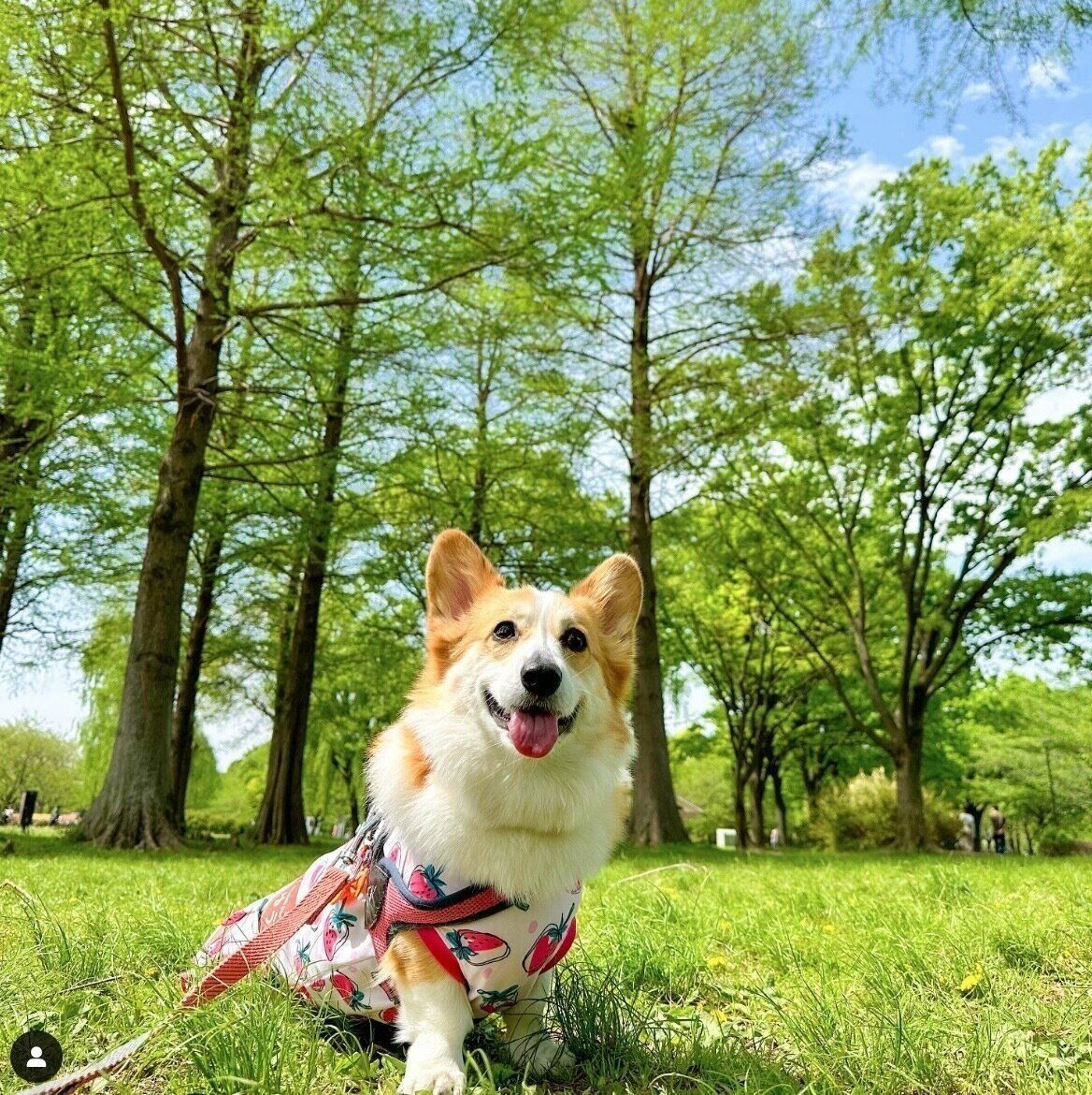 楽しそうな優ちゃん