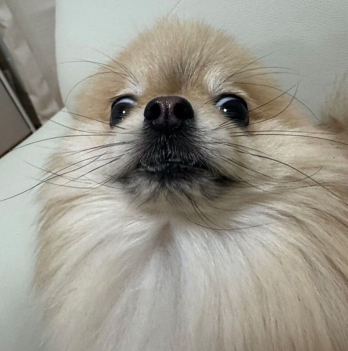 パパさんの帰りが遅くて怒っているなごみちゃん