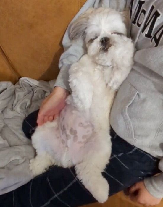 くつろぐうめまるくん