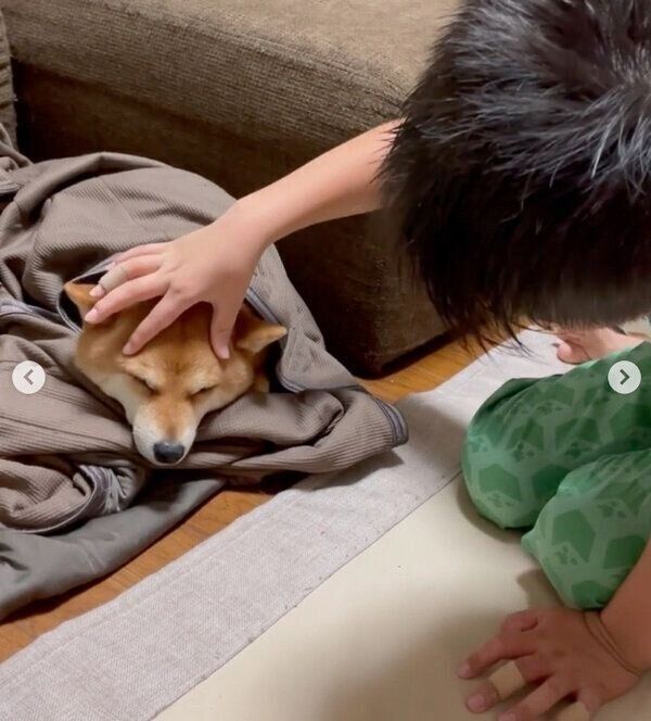 マメちゃんを寝かしつける息子さん