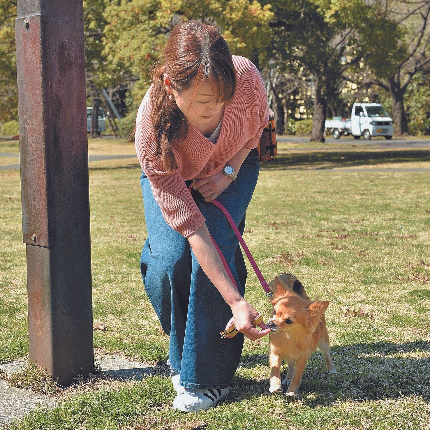 ニオイかぎをさせたくない場所はおやつなどで誘導し、回避を