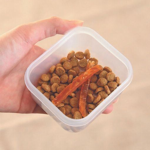 撮影/尾﨑たまき