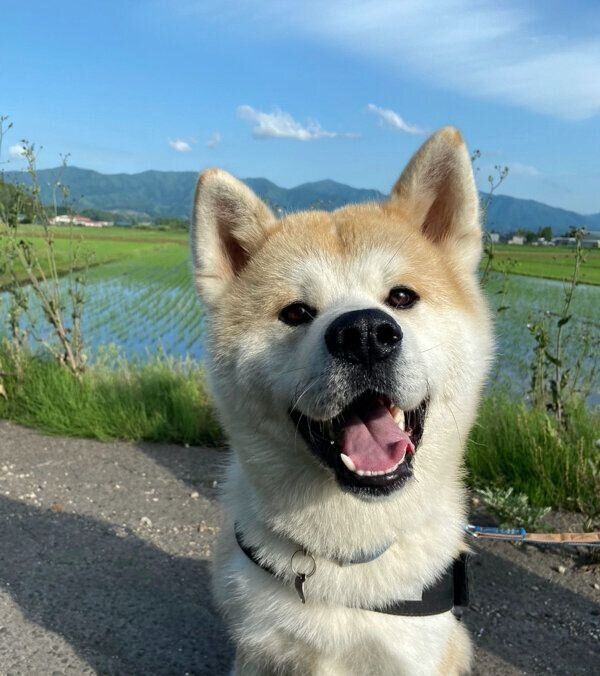 笑顔が可愛いむう太くん