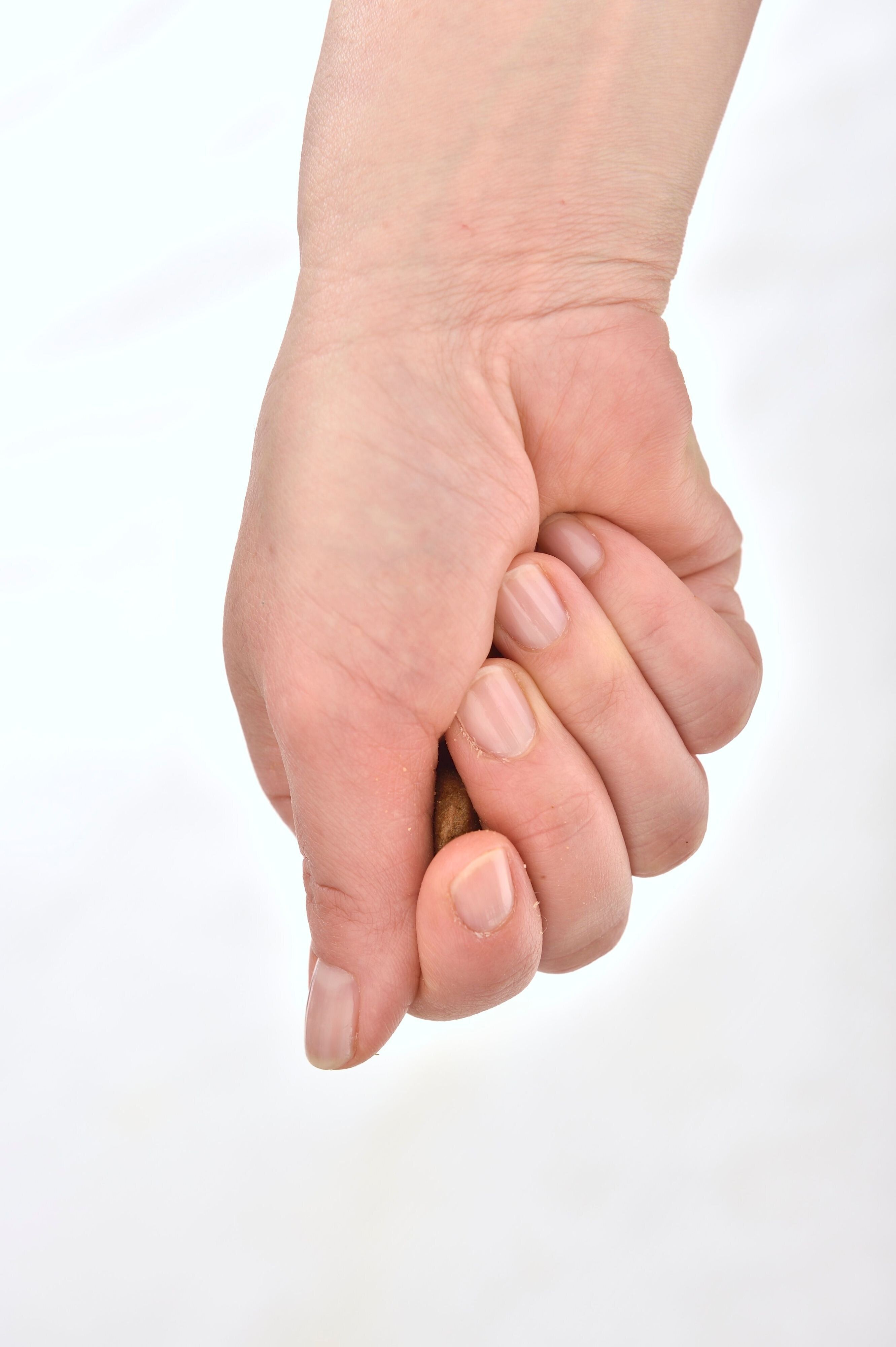 撮影／佐藤正之