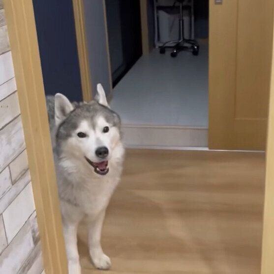 お姉ちゃんをみる文太くん