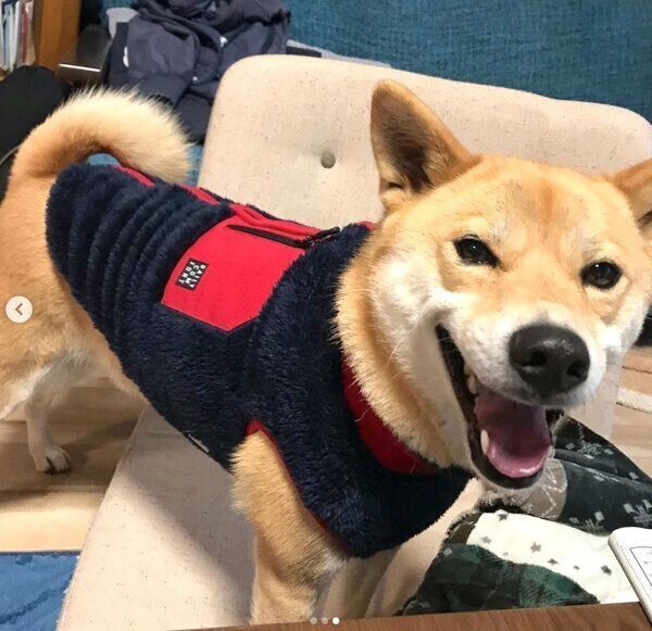 笑顔の朔太郎くん