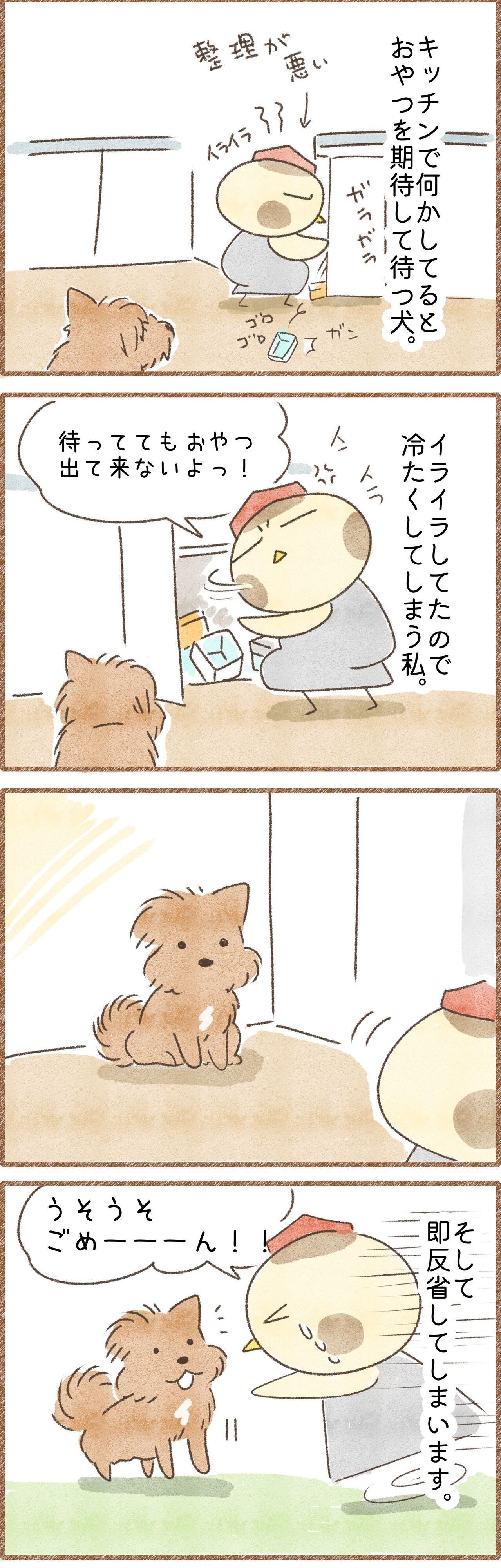 即謝る飼い主の漫画