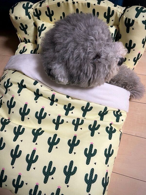 ベッドの中でリラックスする、れあるくん