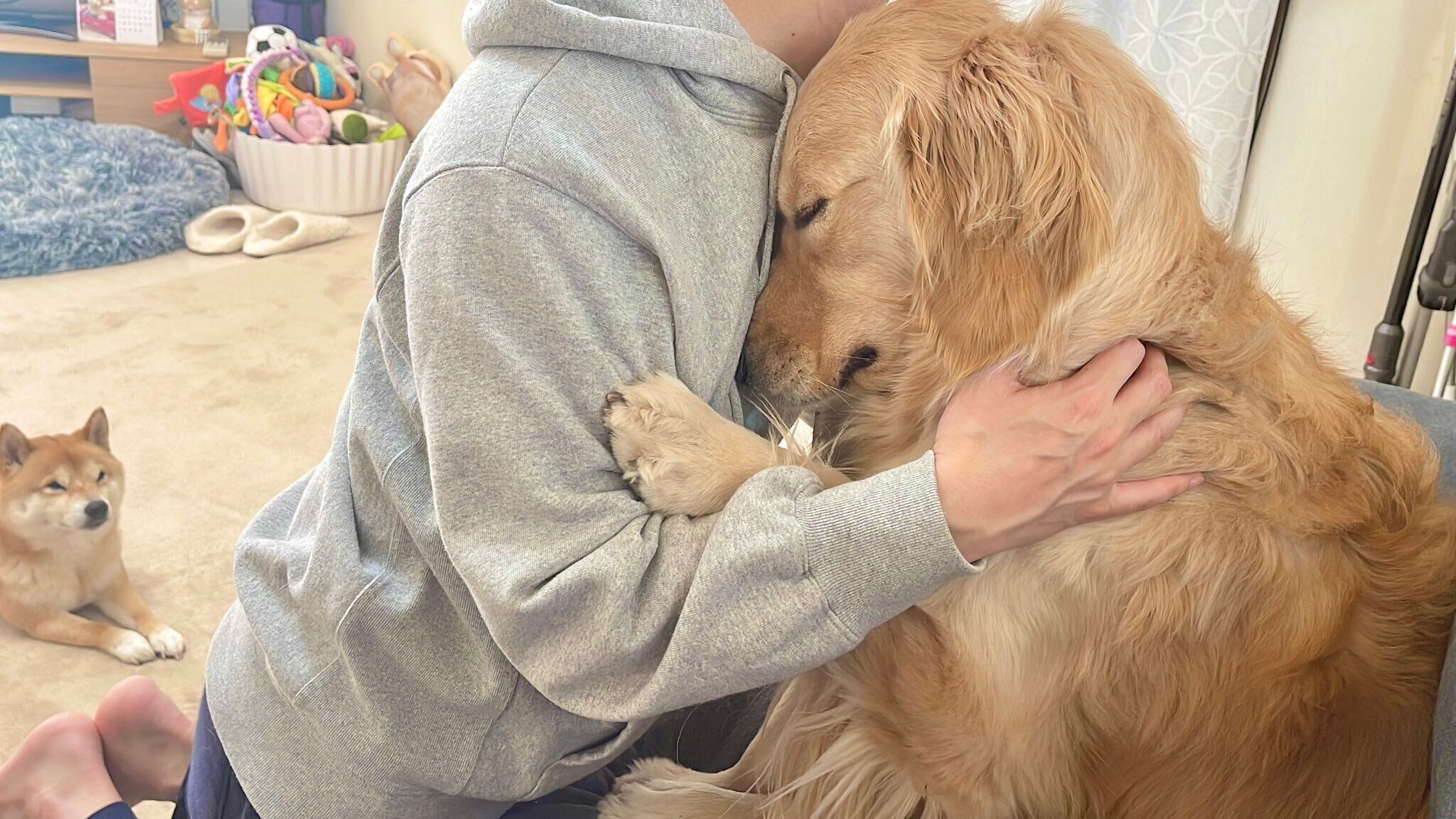 パパさんのことを引き留めるおからちゃん