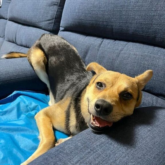 笑顔を見せるこのちゃん