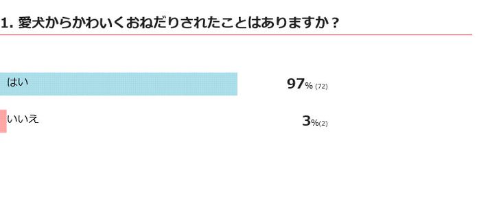 愛犬からかわいくおねだりされたことある?