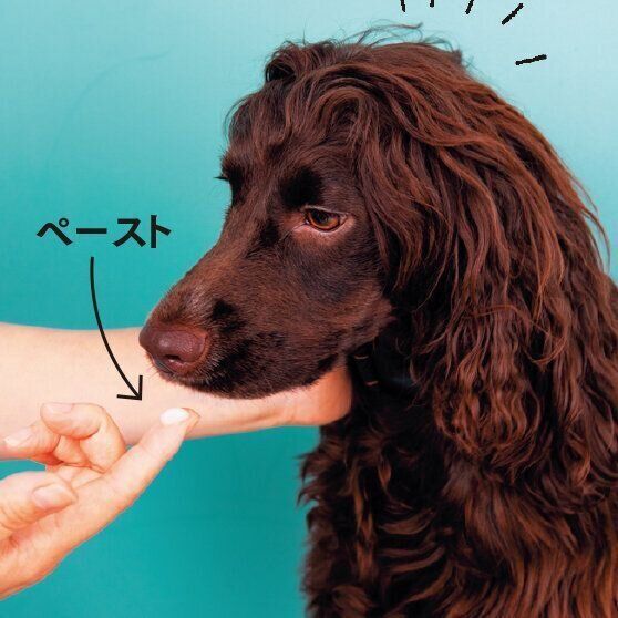 指に歯磨きペーストをつける