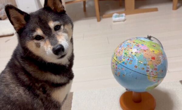 フシギそうな顔をするあずきちゃん